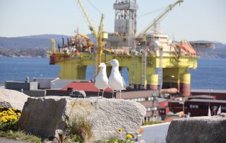 Prompts para quem trabalha embarcado: IA no dia a dia offshore